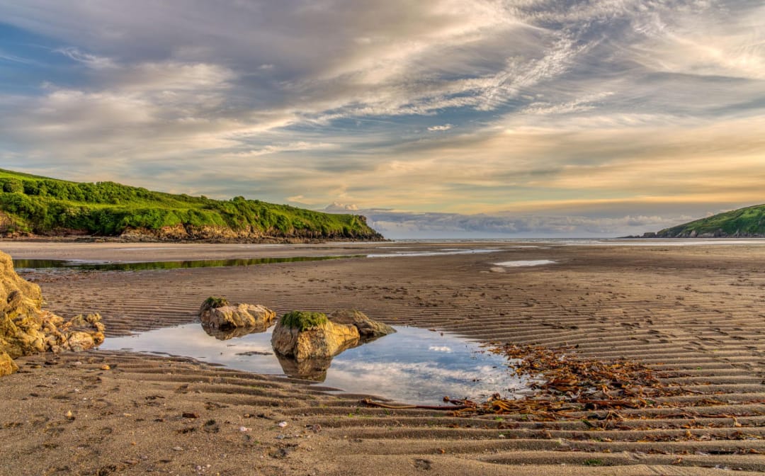 Golden light over the sand, tidal pools and green headlands at Mothecombe Bay